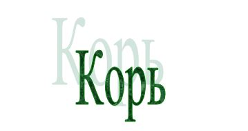 Корь