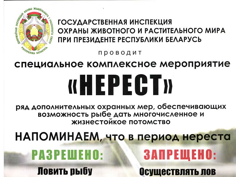 Специальное комплексное мероприятия «Нерест».