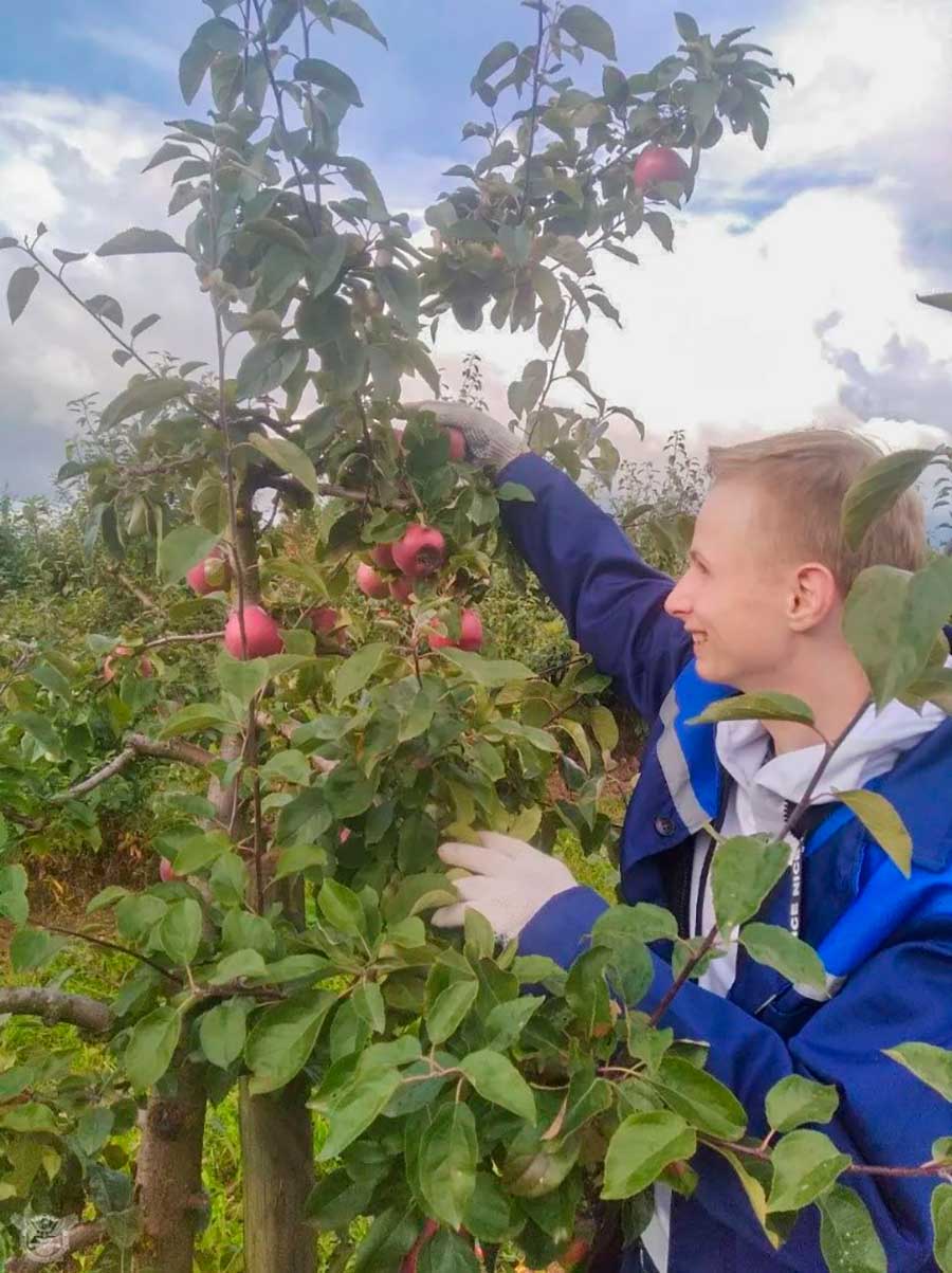 В сентябре вновь начал работу студенческий отряд учреждения образования «Белорусская государственная академия авиации» «Горизонт» имени героя Советского Союза Н.И. Должанского на базе республиканского дочернего унитарного сельскохозяйственного предприятия