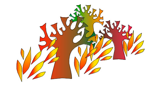 Что делать, если стали свидетелем лесного пожара