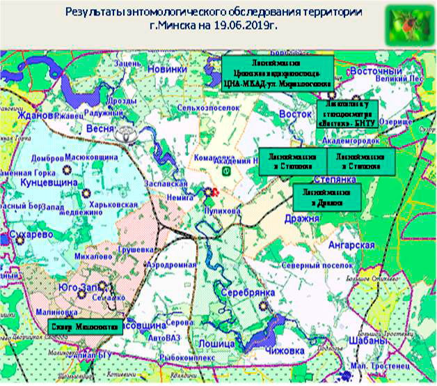 Энтомологическая ситуация в г.Минске