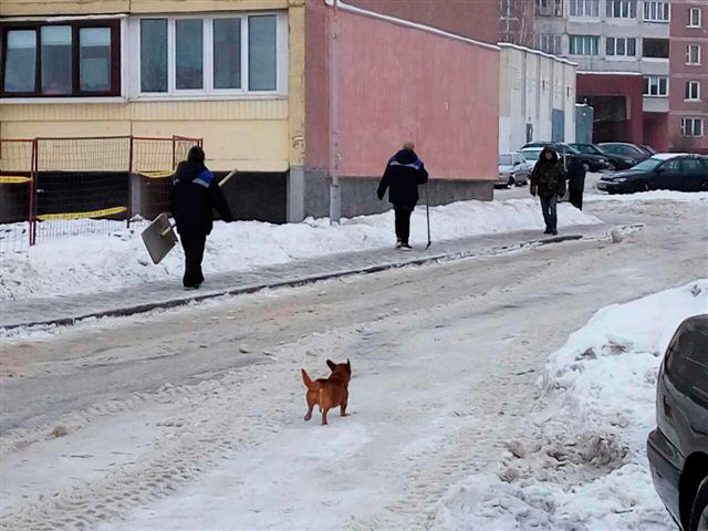 Уборка снега в Заводском районе г.Минска.