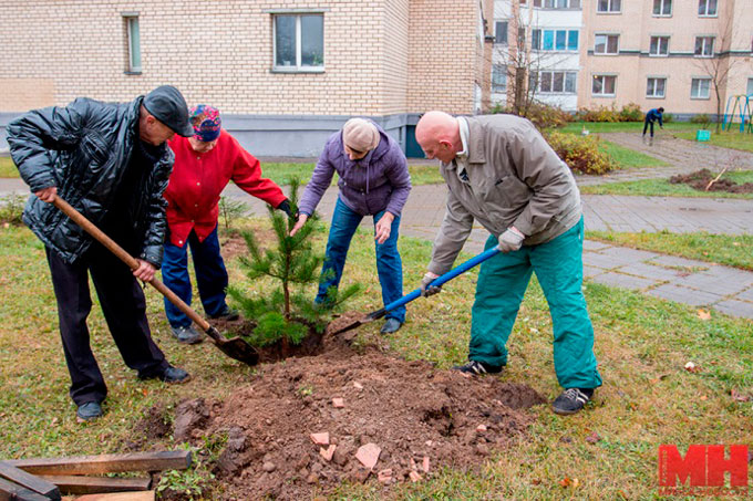 Кто, если не мы. Жители Заводского активно участвуют в озеленении района