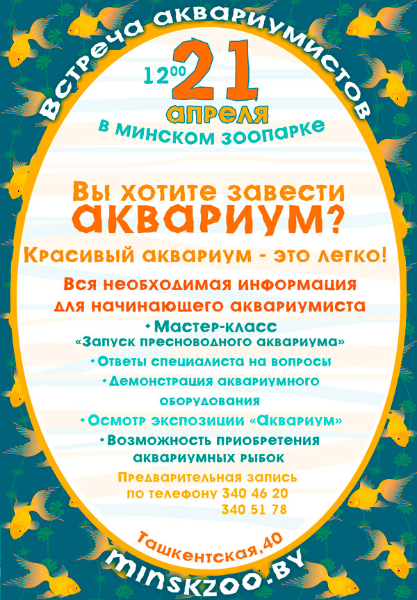 Красивый аквариум – это легко!