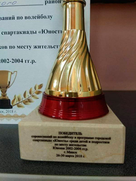 Успешным выступлением на городских соревнованиях по волейболу спартакиады