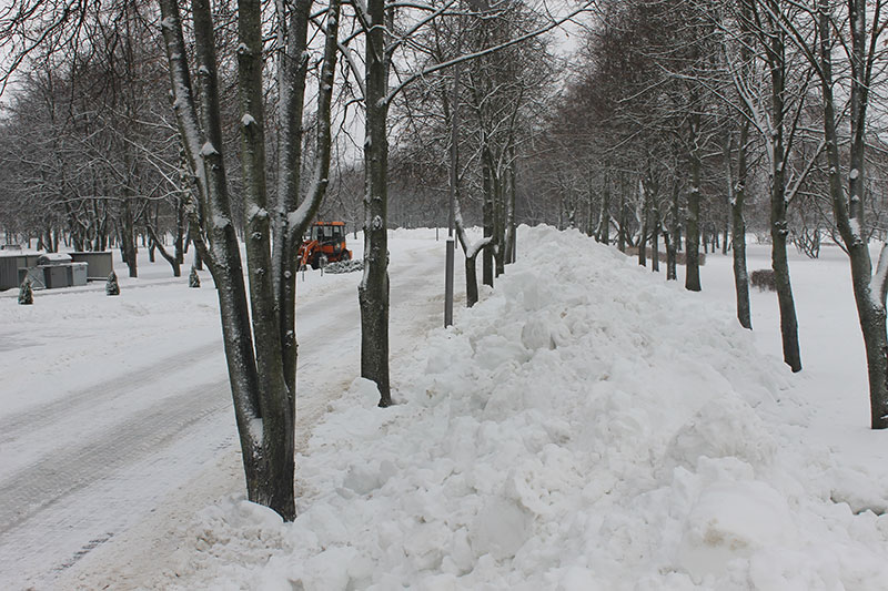 Лыжероллерная трасса в Заводском районе