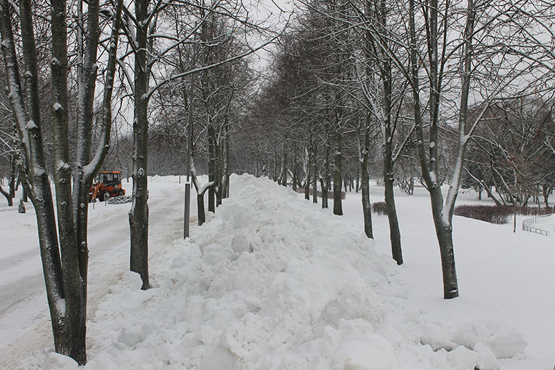 Лыжероллерная трасса в Заводском районе