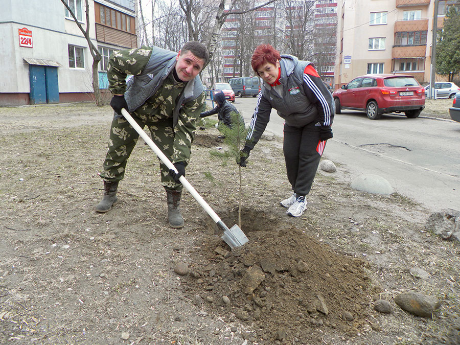 Как прошел субботник в Чижовке.