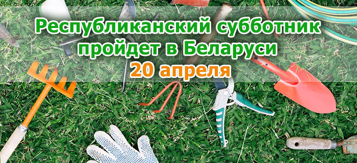 Республиканский субботник пройдет в Беларуси 20 апреля