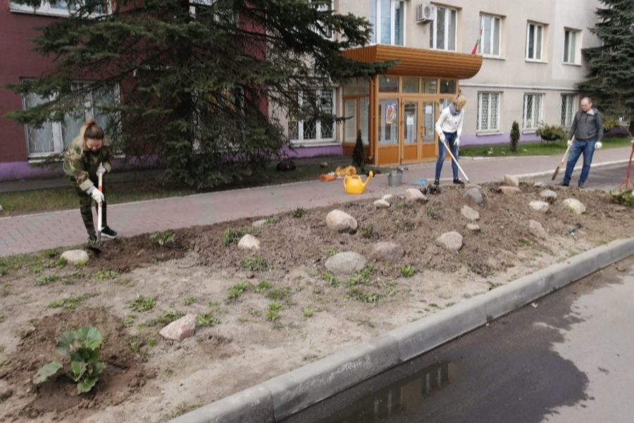 Службы ЖКХ Заводского района высадили 25 апреля во дворах 125 деревьев и 80 кустарников