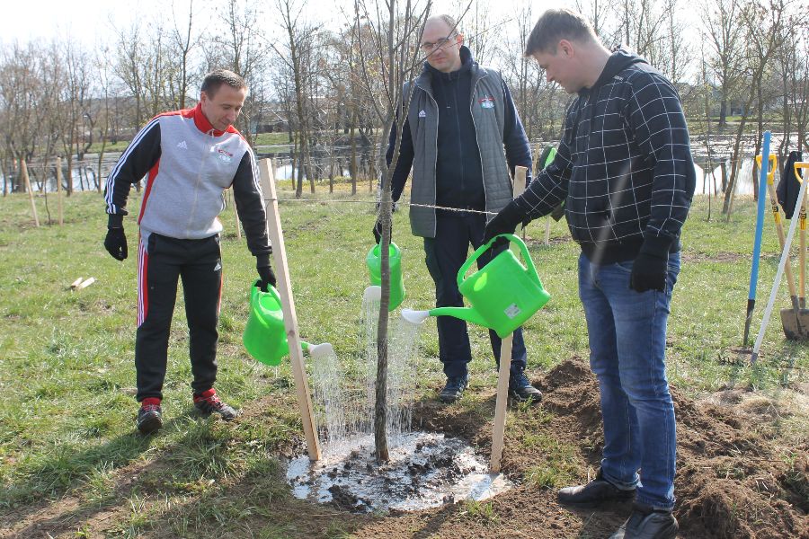 На республиканском субботнике в Заводском районе высадили более 400 деревьев