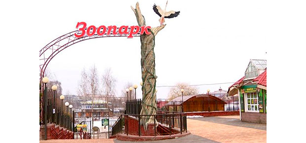 Военнослужащие смогут бесплатно посетить Минский зоопарк 23 февраля.
