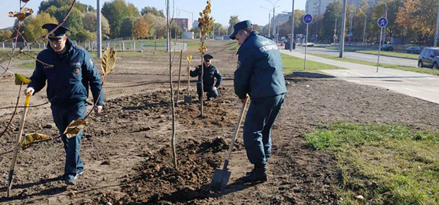 Более 50 деревьев высадили у новой зоны отдыха «Жара» в Чижовке.
