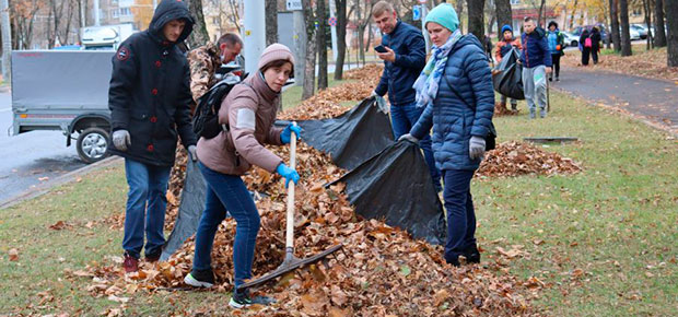 Более 6 тысяч жителей Заводского района приняли участие в субботнике 23 октября. 