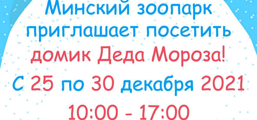 Дедушка Мороз в зоопарке!