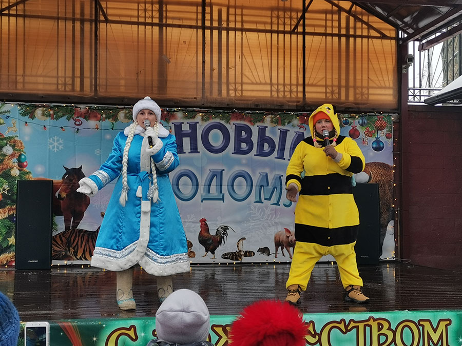 ТИГРОВАЯ ПЧЕЛА или Как мы отпраздновали открытие домика Деда Мороза.
