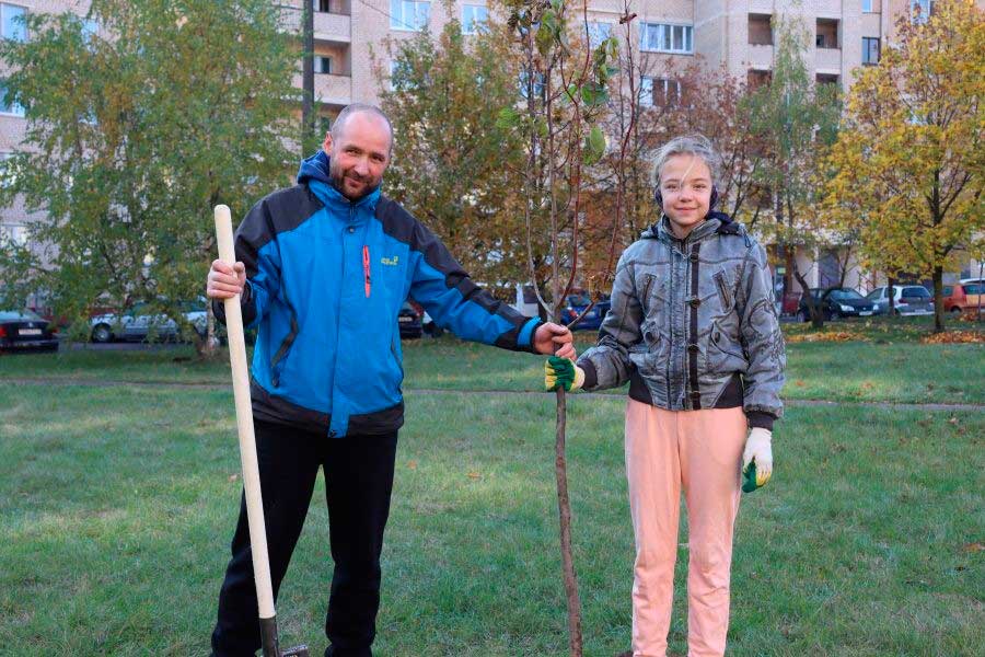 С начала года у МКАД были высажены 2,5 тыс. саженцев ели