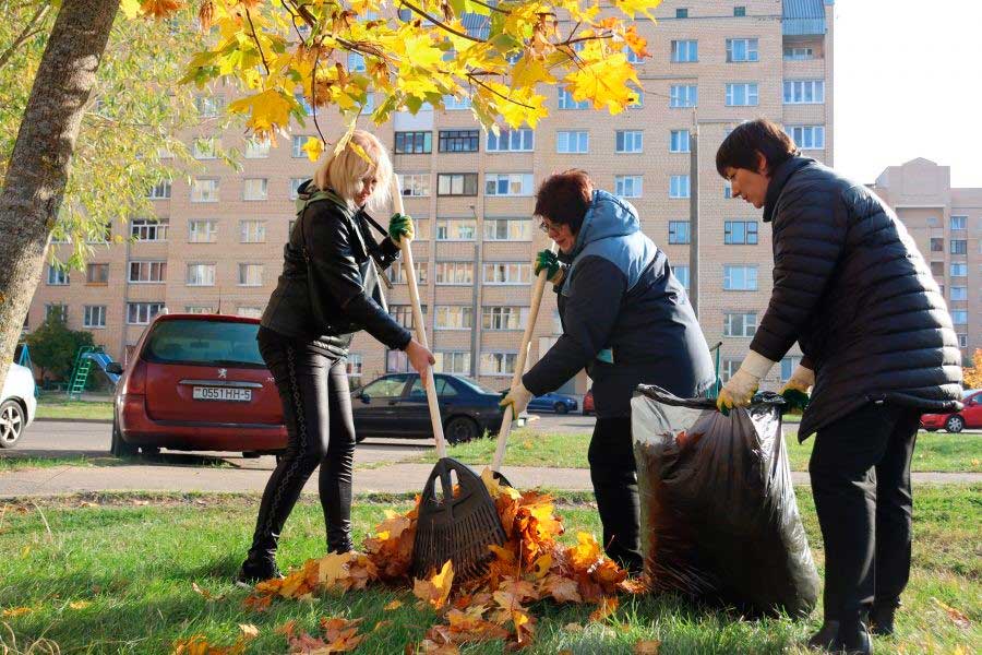 С начала года у МКАД были высажены 2,5 тыс. саженцев ели