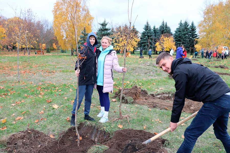 В парке семейных деревьев Заводского района высадили 40 саженцев