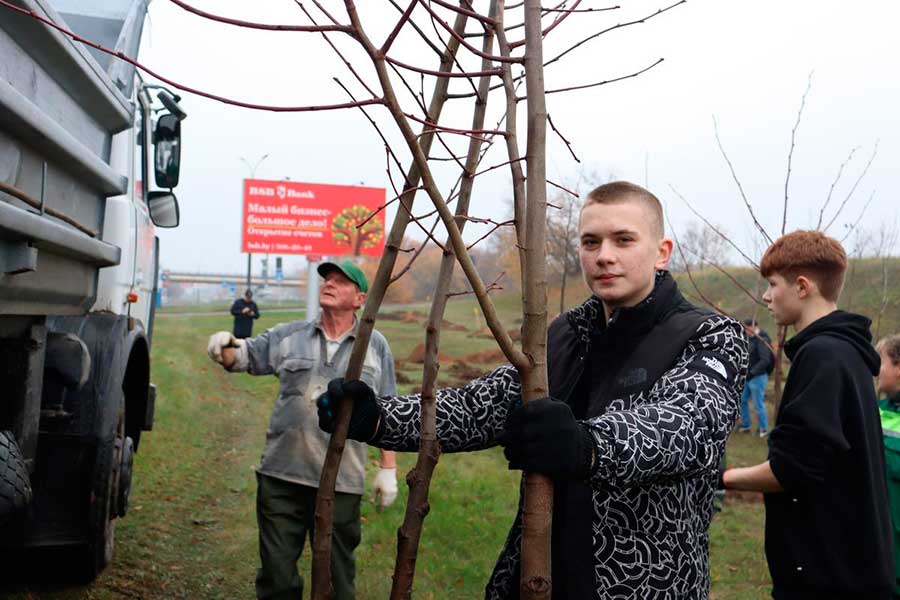 Благоустроили территорию храма и посадили деревья. Что еще сделали на субботниках в Заводском