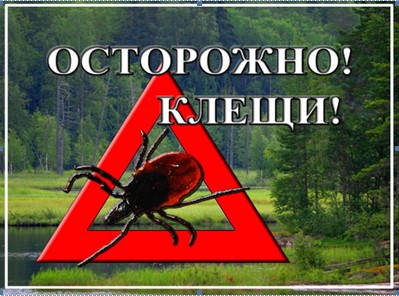 ОСТОРОЖНО! КЛЕЩИ!