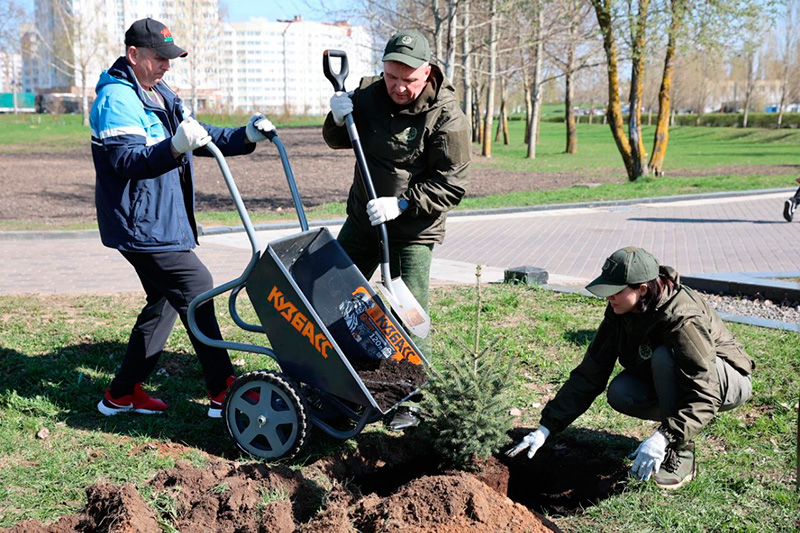 Республиканский субботник: где минчане будут…