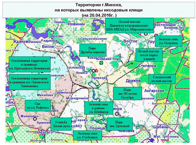 Где опасаться клещей — обновленная карта мест их обнаружения