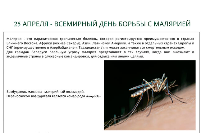 25 апреля - Всемирный день…