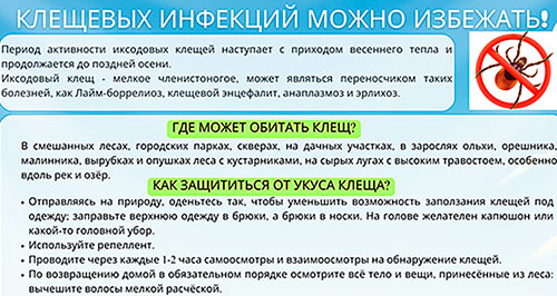 Клещевых инфекций можно избежать